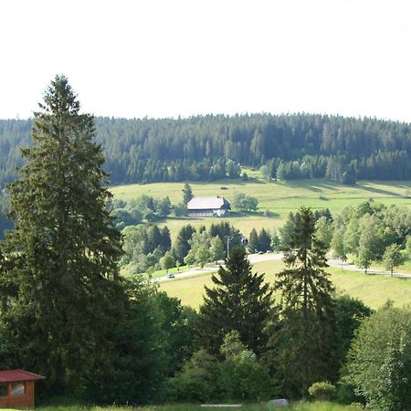 Bergsee Schluchsee Exteriér fotografie
